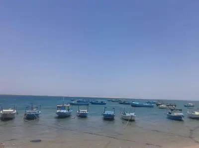 a group of boats sitting in the water at Desert Rose Apartment in Hurghada