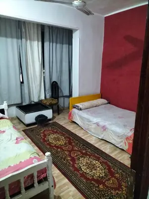 Gallery image of Hamoda flat in Luxor