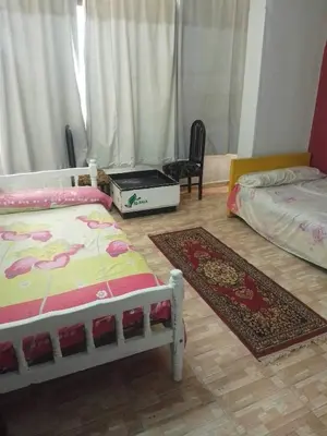Gallery image of Hamoda flat in Luxor