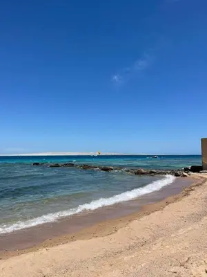 a beach with the ocean on a sunny day at Studio for rent 202 in Hurghada
