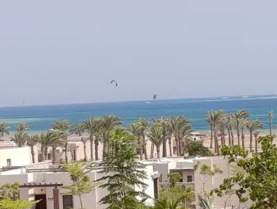a view of a building with palm trees and the ocean at Mesca Chalet Soma Bay in Hurghada