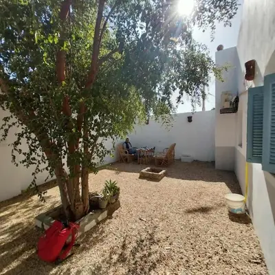 a tree in a courtyard with a man sitting in a chair at Ahsaya-house beautiful new home in ‘Ezbet Abu Ḥabashi