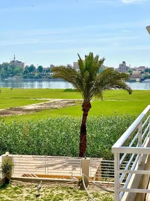 a palm tree and a boat in a field at Royal Nile Suites - Nile View 1 in Luxor