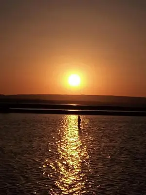 a person standing in the water at sunset at Das Nistkästchen in Hurghada in Hurghada