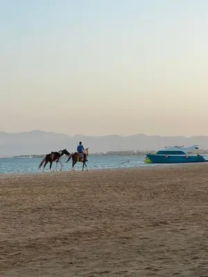 a person riding a horse on the beach at Cozy 2BR Seaview loft in Mesca Somabay in Hurghada
