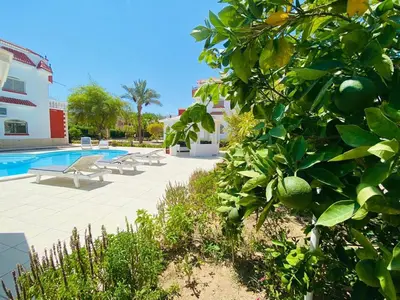 a resort with a swimming pool and a lemon tree at Happiness Villa Majawish, close to the city center in Hurghada
