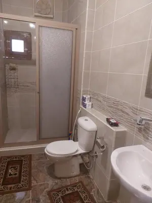 a bathroom with a toilet and a shower and a sink at Rawan apartments in Luxor