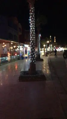 a city street at night with a tree with lights at Sunny Sea View Studio Marina on private roof in Hurghada