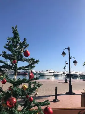 a christmas tree on a sidewalk next to a harbor at Sunny Sea View Studio Marina on private roof in Hurghada