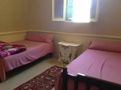 a bedroom with two beds and a window and a rug at Luxor Stables Apartment in Luxor