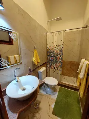a bathroom with a sink and a shower and a toilet at Carter Guesthouse Luxor 1 in ‘Ezbet Abu Ḥabashi