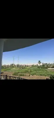 a view of a field from a train window at King mou in ‘Ezbet Abu Ḥabashi
