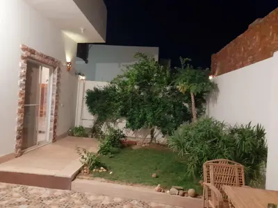 a courtyard with a tree in the middle of a building at hodhod luxor in Al Qurnah
