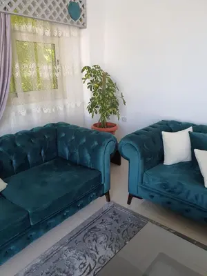 a living room with two blue couches and a plant at منتجع لاكشيري جميع الرفاهيات و الكماليات in Hurghada