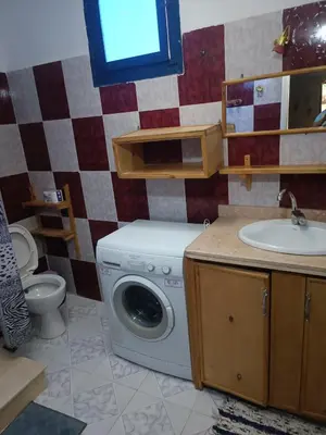 a bathroom with a washing machine and a sink at Dream house in Luxor