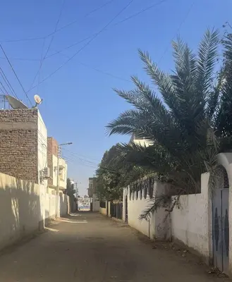 an alley with a palm tree next to a wall at Nile Temple view in Luxor