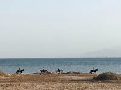 a group of people riding horses on the beach at Magical Cabana Steps From Beach & Pool in Hurghada