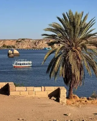 a palm tree and a boat in the water at البيت النوبى Nubian house in Aswân Reservoir Colony