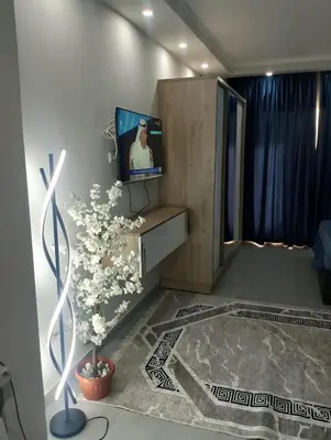 a living room with a tv and a plant at Scandic Resort in Hurghada