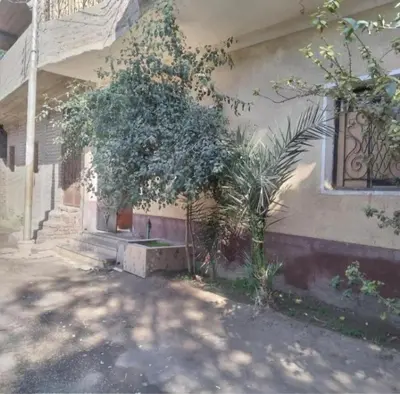 a tree in front of a building with a window at Ali Toot in Luxor