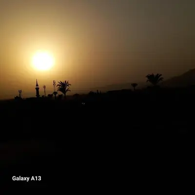 a sunset with palm trees and the sun in the sky at Grand Memphis Hotel in Luxor in Luxor