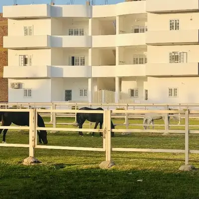 Star - private apartments