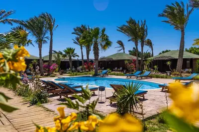 a resort swimming pool with chairs and palm trees at Abu Dabbab Lodge in Abu Dabab