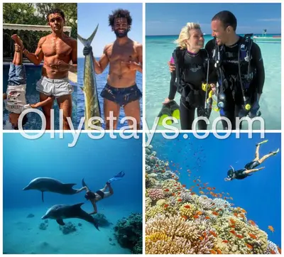 a collage of photos of people in the ocean at Ollystays Shedwan 1BR Pool & lagoon access in Hurghada