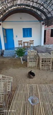 a patio with tables and chairs and a cat laying on the ground at Hannag Island Guest house in Aswan