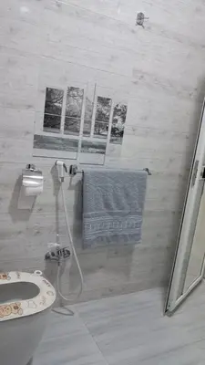a bathroom with a shower and a toilet and a sink at Diamond Guest House K in Aswan