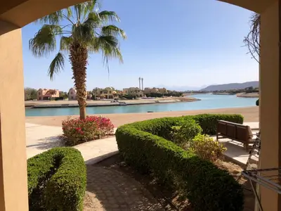a palm tree and a bench next to a river at one bedroom ground floor sabina elgouna in Hurghada