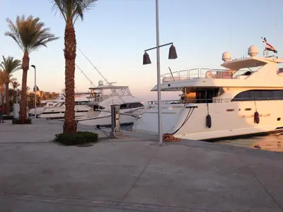 a group of boats docked in a marina with palm trees at Cozy studio with a view in port ghalib in Marsa Alam