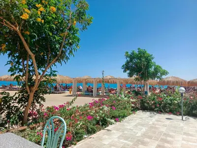 a patio at the beach with flowers and umbrellas at Avenue Alhambra in Hurghada