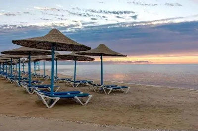 a line of chairs and umbrellas on a beach at Marina Bliss-Seaside Retreat in Marsa Alam