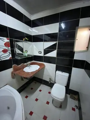 a bathroom with a toilet and a sink at Hotelمفروش in Aswan