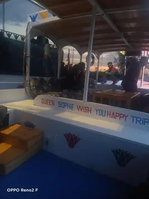 a dog sitting on the back of a boat at Queen Sophie in Luxor