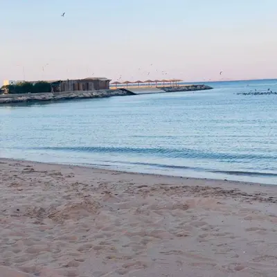 a beach with birds flying over the water at Elite apartment private beach Holiday Chalet Free WIFI in Hurghada