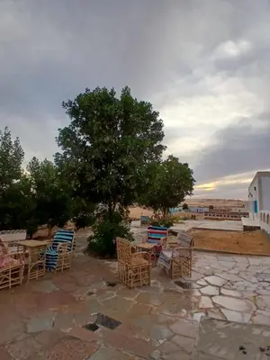 a group of chairs and tables and a tree at Mashamman nuban house in Aswan