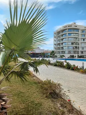 a palm tree in front of a large building at Scandic Resort Hurghada in Hurghada