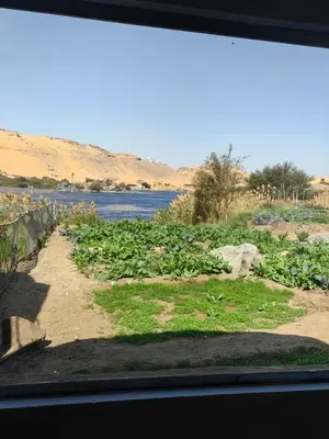 a framed picture of a field of plants and a river at Nala Narty Nubian House & Organic Farm in Aswan