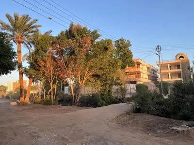 a dirt road with palm trees and a building at Habiba Apartment in Luxor