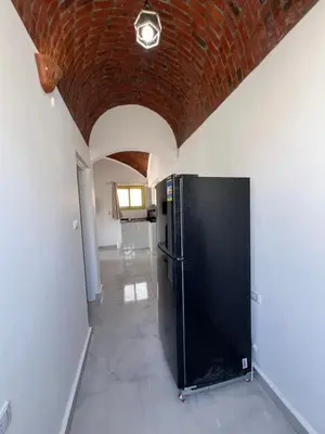 a large black refrigerator in a room with a brick ceiling at Sunrise Apartment in Hurghada