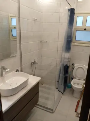 a bathroom with a sink and a shower and a toilet at Hurghadiansrealty in Hurghada