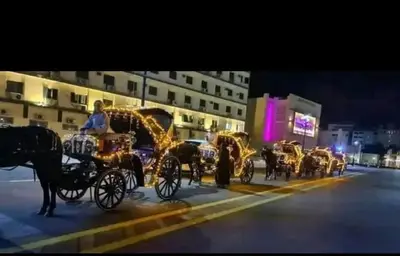 a group of horse drawn carriages on a street at night at City centre Nile Breeze Aswan in Aswan
