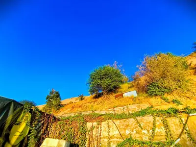 a hill with trees and bushes on top of it at Fox Nubian Hotel in Aswan