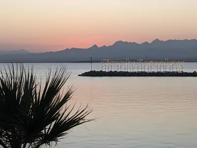 a group of buildings on a island in the water at Stylish Seaview 2BR Soma bay Villa with Free Pool & Beach in Hurghada
