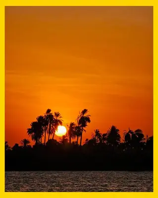an orange sunset with palm trees and the ocean at Anoosh camp in Aswan