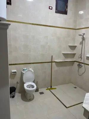 a bathroom with a toilet and a shower at Al-Fardous house in Luxor