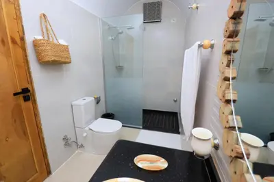 a bathroom with a toilet and a glass shower at Eden on the Nile in Luxor