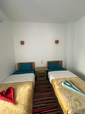 two beds sitting next to each other in a room at Palm Guest House in Aswan